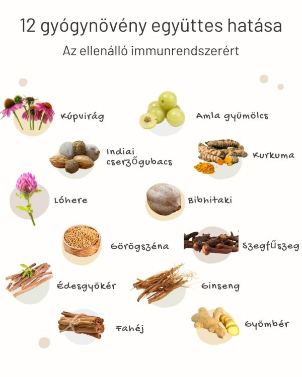 Immunforce – az immunrendszer támogatására