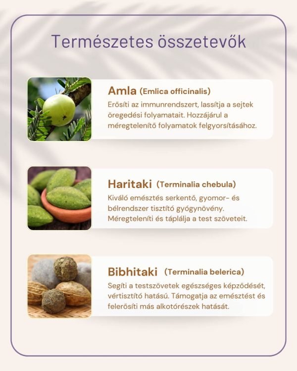 TRIPHALA kapsule – na čistenie, detoxikáciu a regeneráciu organizmu