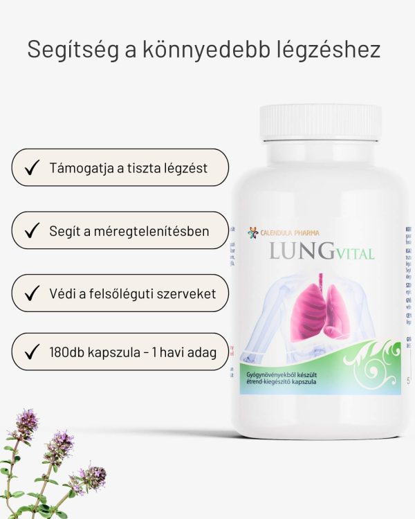 LUNGVITAL капсула – профилактика и лечение заболеваний легких и дыхательных путей