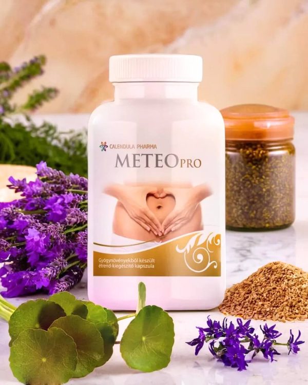 METEOPRO – puffadás, reflux tüneteire